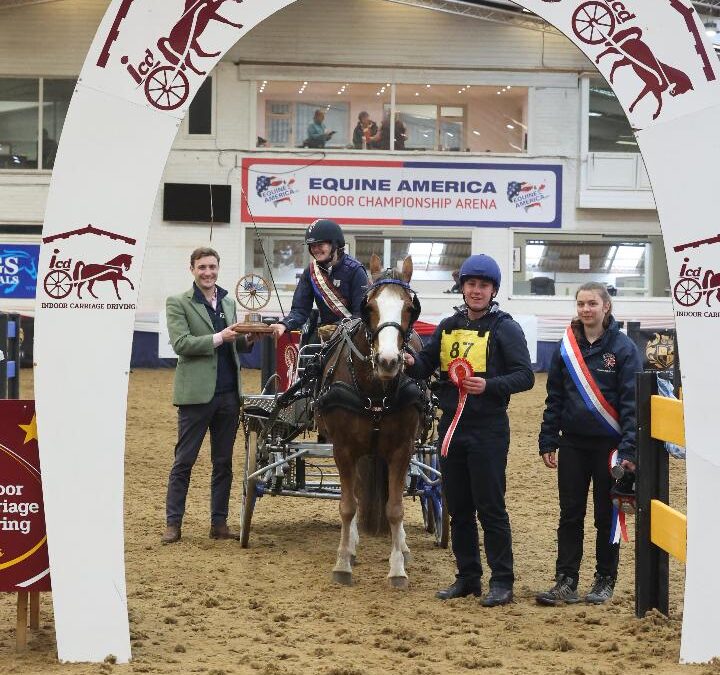 Indoor Carriage Driving Championships – Report by Fiona Powell